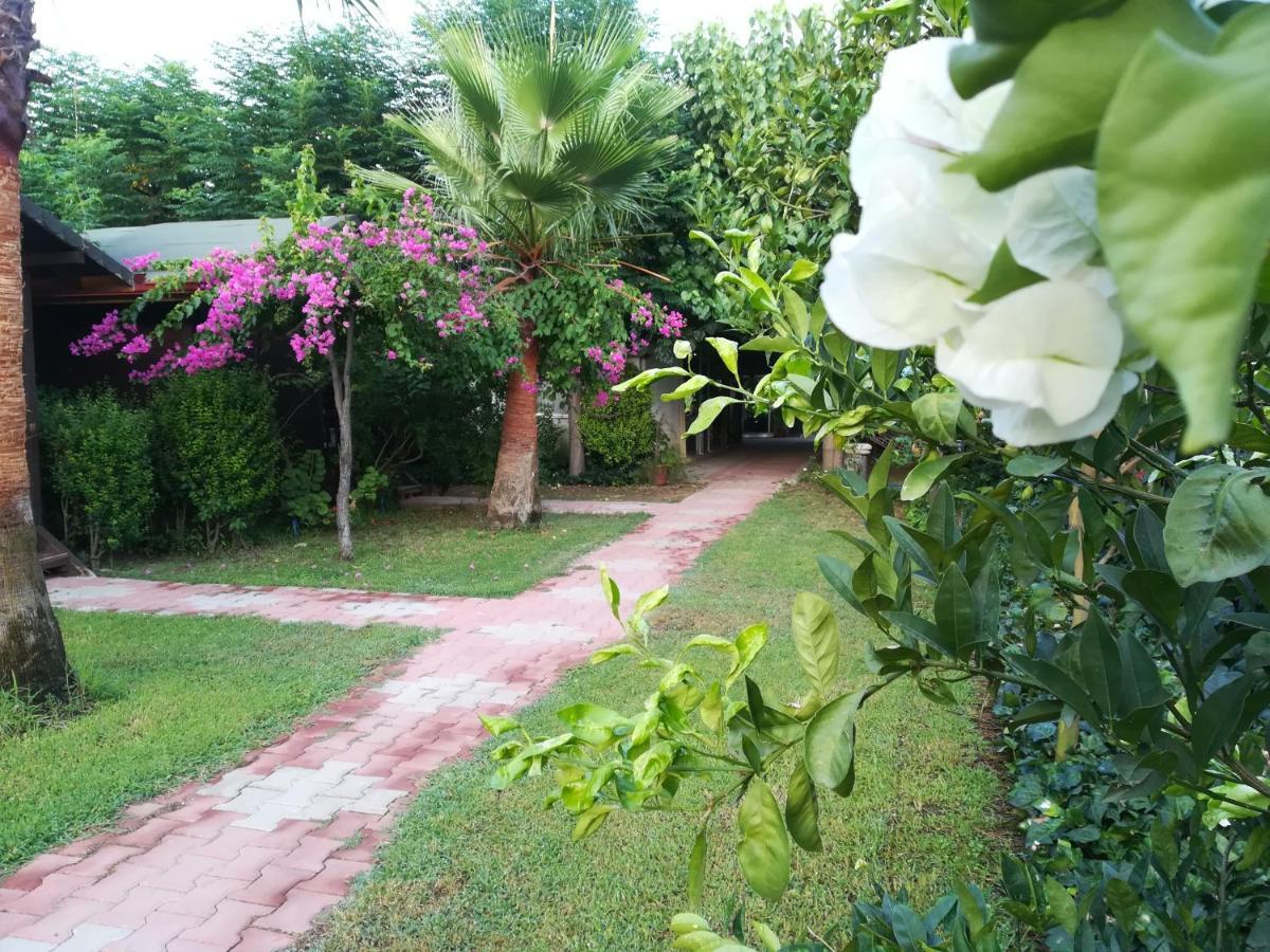 Kervan Pansiyon Cirali Exterior photo