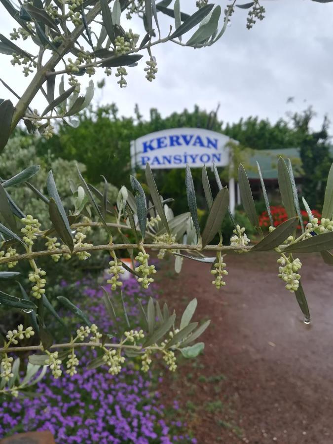 Kervan Pansiyon Cirali Exterior photo